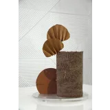 Курс "Текстуры" (Александра Булгакова)