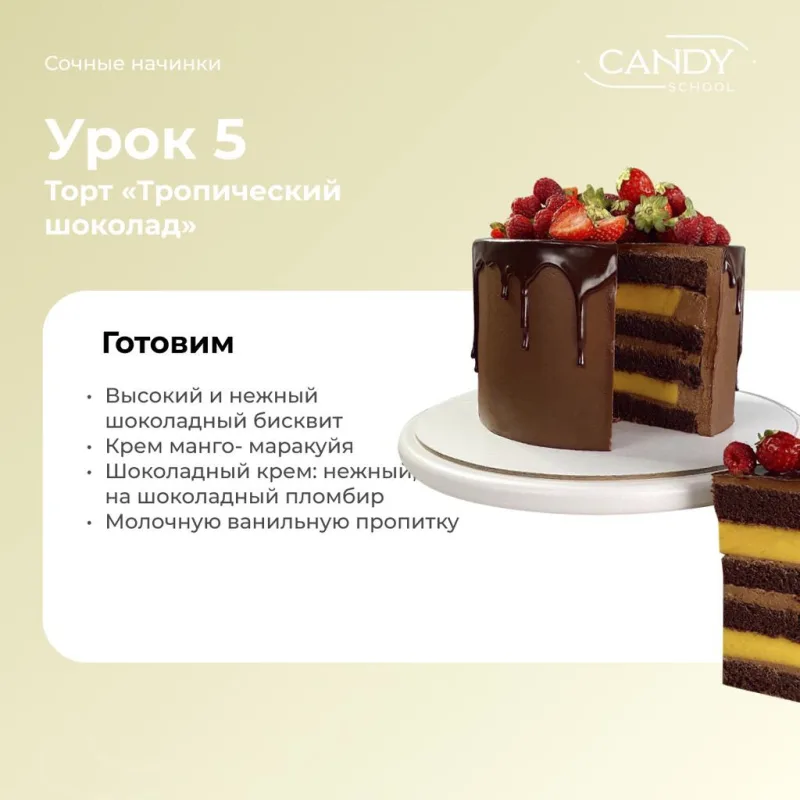 [candy school] Курс "Сочные начинки" (Наталья Юн)