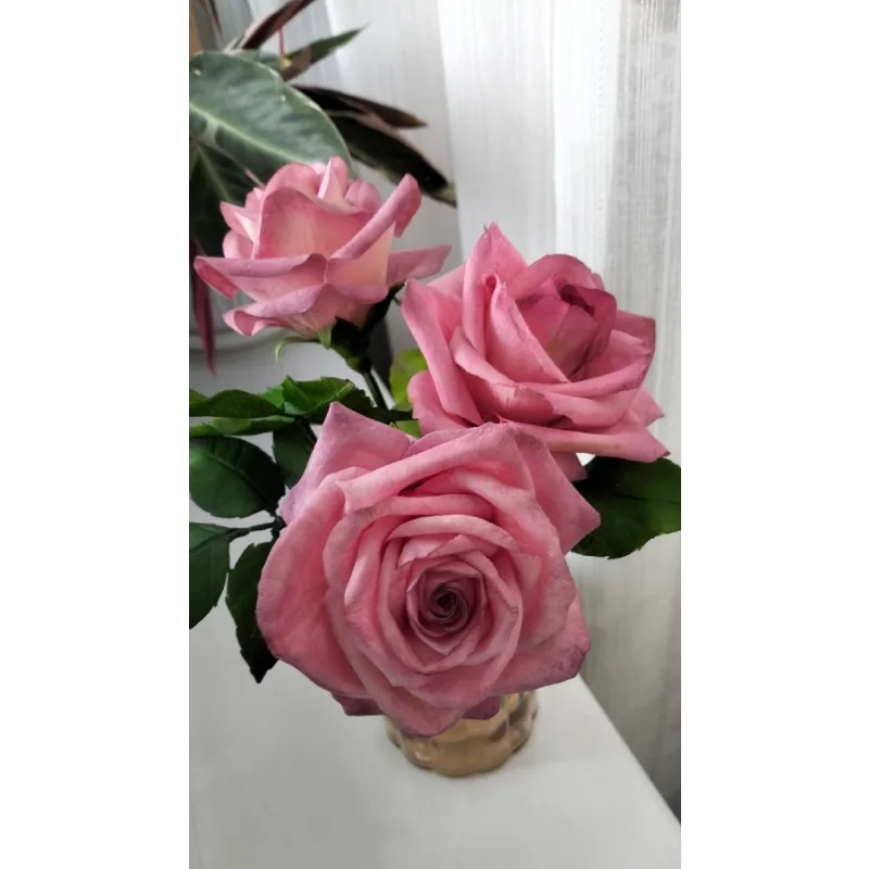 [galka_nova] Курс "Сахарная флористика" (Галина Иванова)