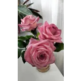 [galka_nova] Курс "Сахарная флористика" (Галина Иванова)