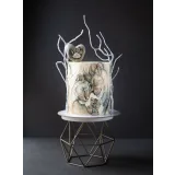 Рисовать может каждый. Тариф художник (Женя Мельникова, Лена Елькина-Ковалёва)