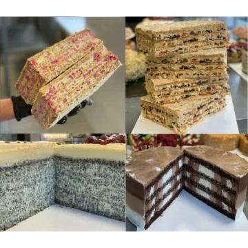 Торты-мороженое (atkinag)