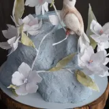 Торт "Птички" (Анна Сухова, anechkacake)