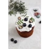 Большой Пасхальный Курс 2024 + Мадлен (Ильзира Карагузина)