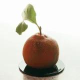 "7 десертов" 2020 (Юлия Беличенко, belichenko_julia)