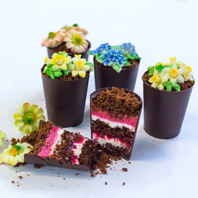 Курс по бисквитным тортам «Кондитер-эксперт» (Оксана Лобачева)