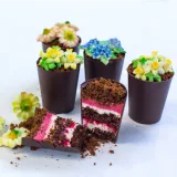 Курс по бисквитным тортам «Кондитер-эксперт» (Оксана Лобачева)