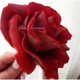 Пластичный шоколад (Елена Гринева)