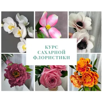 [galka_nova] Курс "Сахарная флористика" (Галина Иванова)
