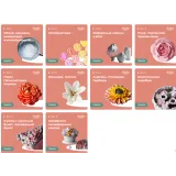 [Pauline School] Курс "Зефирные цветы" (Полина Филимонова)