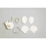 Сахарная флористика (Инна Питерова)