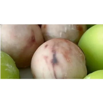 Начинка моти Яблочный штрудель (Екатерина Леонова)