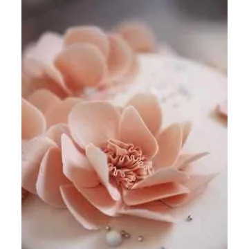 Total sale. Базовый курс по муссовым тортам + 8 видео рецептов (Таня Силаева)