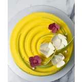 Курс по муссовым тортам и нарезным пирожным (Ольга Шмукста)