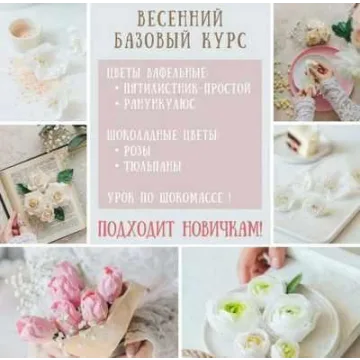 Весенний курс. Тариф Базовый (Екатерина Завирюха)