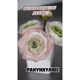 Вафельная флористика (cookbook_insta)