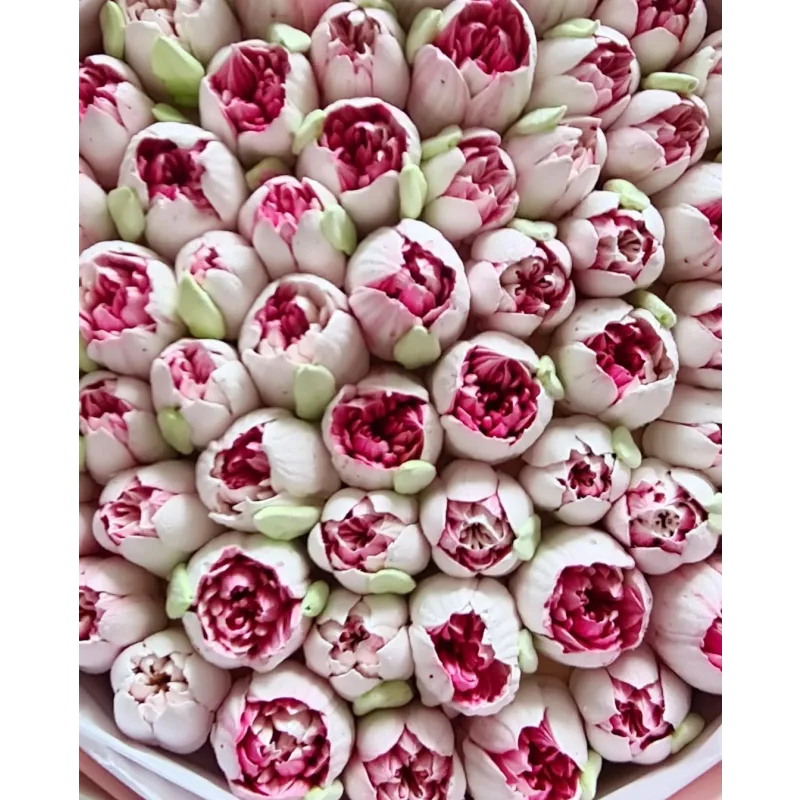 Махровые зефирные тюльпаны (Ляйсян Казыргалина)