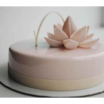 Новые рецептуры муссовых тортов (Таня Силаева)