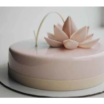 Новые рецептуры муссовых тортов (Таня Силаева)