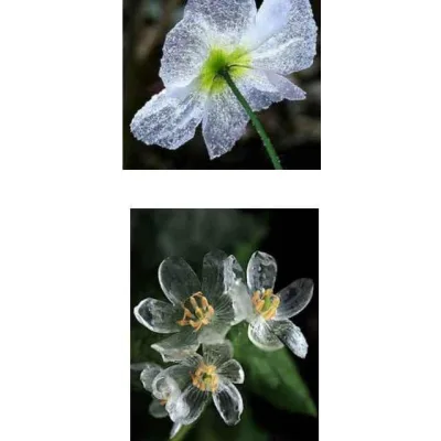 Рецепт прозрачного холодного фарфора "Полимерный хрусталь" или "Морское стекло" (anri-irene)