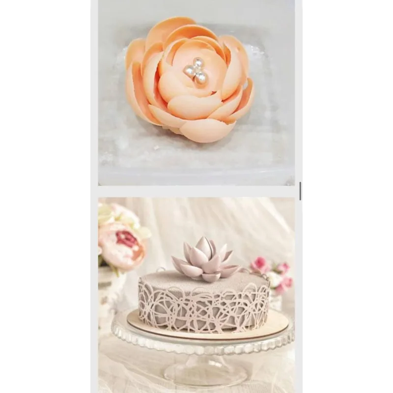 Курс «Шоколад» (Ольга Шлычкова)