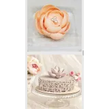 Курс «Шоколад» (Ольга Шлычкова)