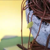 Торт "Пасхальное гнездо" (Ксения ПаниМарципани)