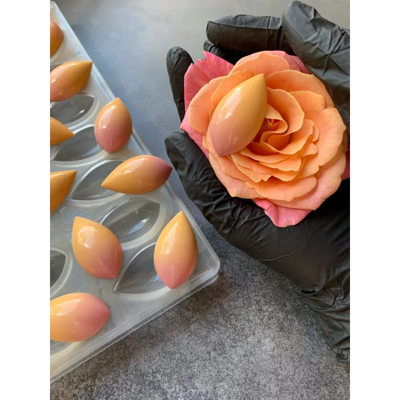 Курс о корпусных шоколадных конфетах (chocolat_jasmin)