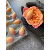 Курс о корпусных шоколадных конфетах (chocolat_jasmin)