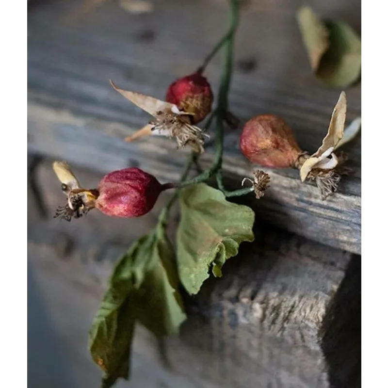 [cakeit_nsk] Курс Вафельные цветы «Лето» (Любовь Ки)