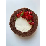 Наполеон на миллион (Кристина Шумская)