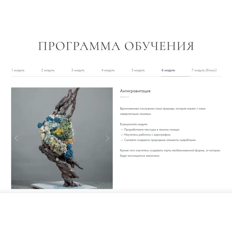 Курс "Текстуры" (Инна Питерова)