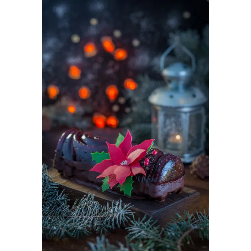 Онлайн курс "Мировое рождество" (Ольга Пениоза и Алена Спирина)