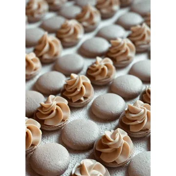 Начинки макарон. Сборник 5 (Людмила Гуркова)