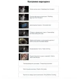 [anechkacake] Торт “Мышка” (Анна Сухова)