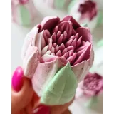 Махровые зефирные тюльпаны (Ляйсян Казыргалина)