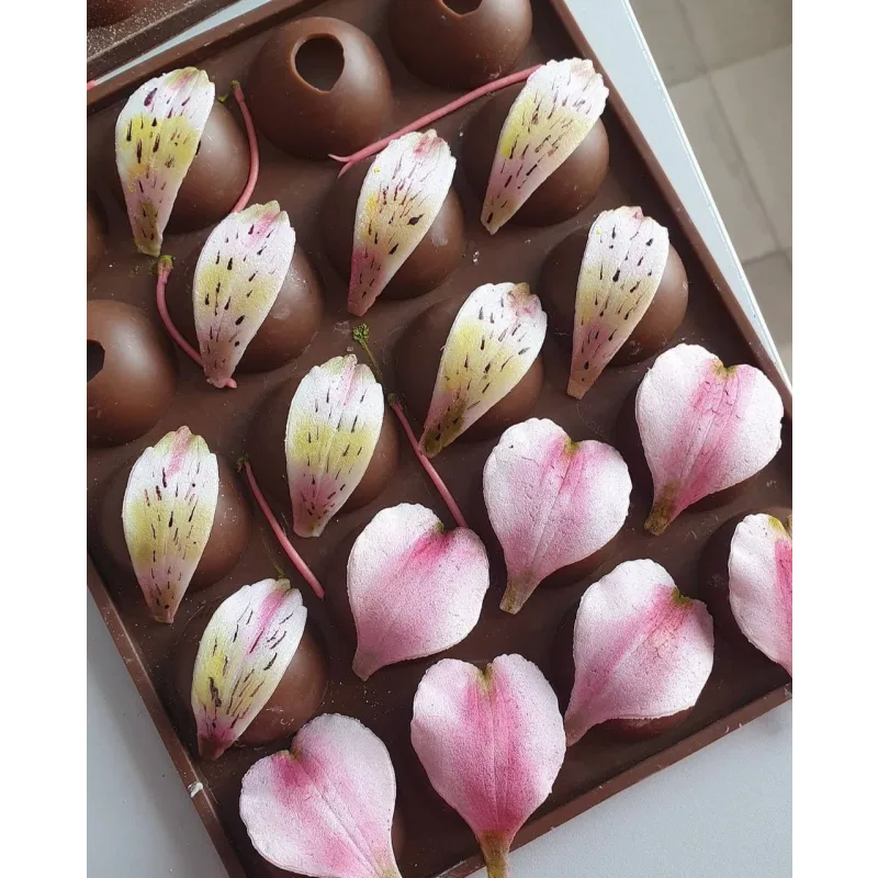 Пластичный шоколад (Елена Гринева)