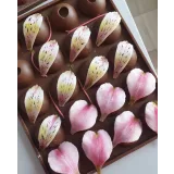 Пластичный шоколад (Елена Гринева)