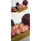 Тарты и пирожные. Запись 3 дневного курса (Кристоф Рену)