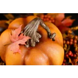 Большой курс по 3D-тортам (MARIA MAGRAT, mrs.magrat)