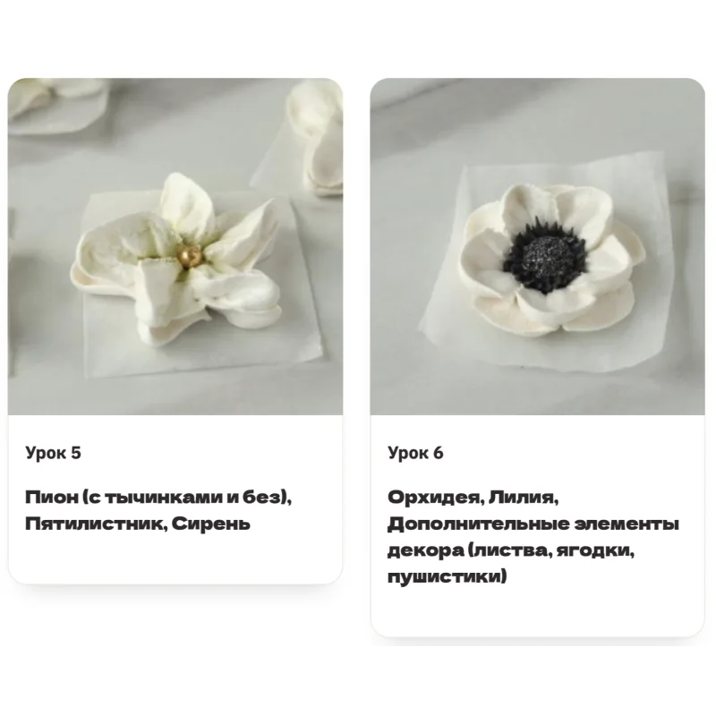 [Pauline School] Курс "Зефирные цветы" (Полина Филимонова)