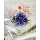 Собрание сочинений. Тариф Базовый (Марина Романова)