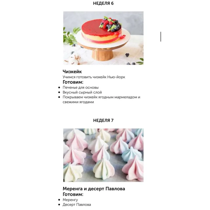 Базовый кондитерский курс (Ольга Шлычкова)