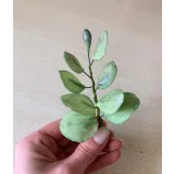 Курс "Сахарные цветы 2.0" (Елена Решетняк, Cake Pro)