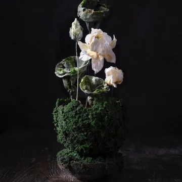 [anechkacake] Торт “Цветение лотоса” (Анна Сухова)