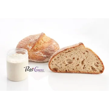 [Pastry Campus] Пшеничный хлеб на закваске и багет (Мария Селянина)