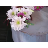 Кондитер 2.0 (Алина Макарова, cake school)