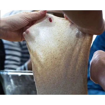 [Хлебомолы] Влажное тесто для новичков