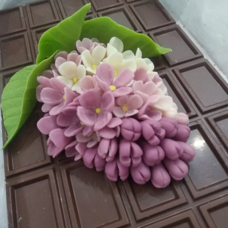 [galka_nova] Курс "Шоколадная флористика" (Галина Иванова)