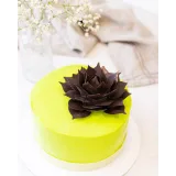 Начинающий шоколатье (Полина Филимонова, Pauline School)